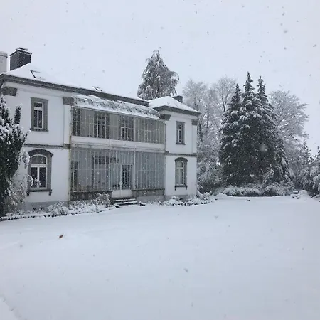 וילה Manoir Des Sarts